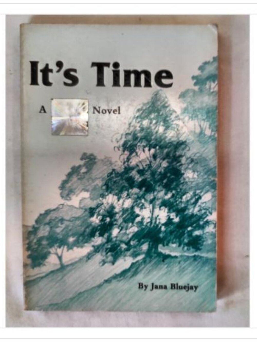 It's Time by Jana Bluejay 1985 Paperback ISBN 0961512903